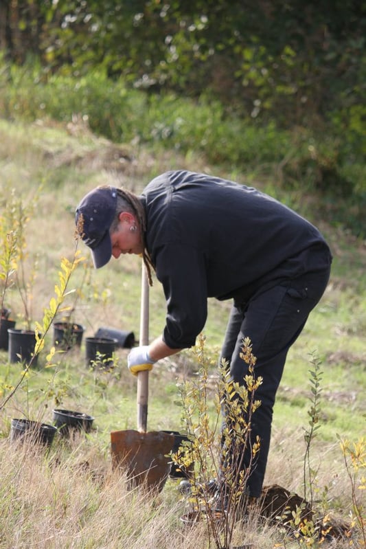 Shawn Donnille volunteering in a field, planting small trees and leaning over a shovel