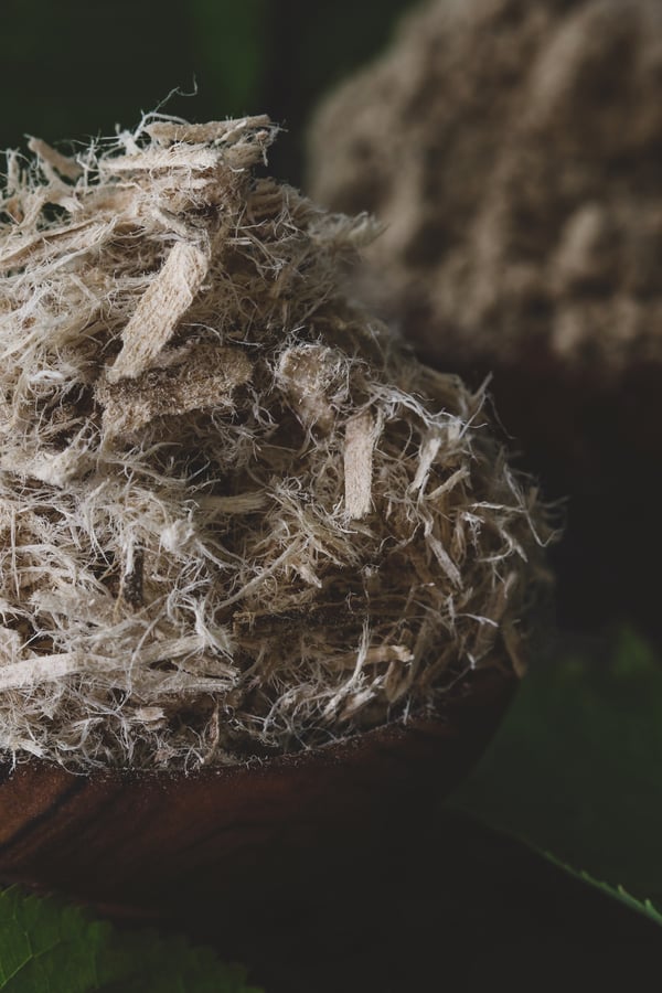 Dried slippery elm bark