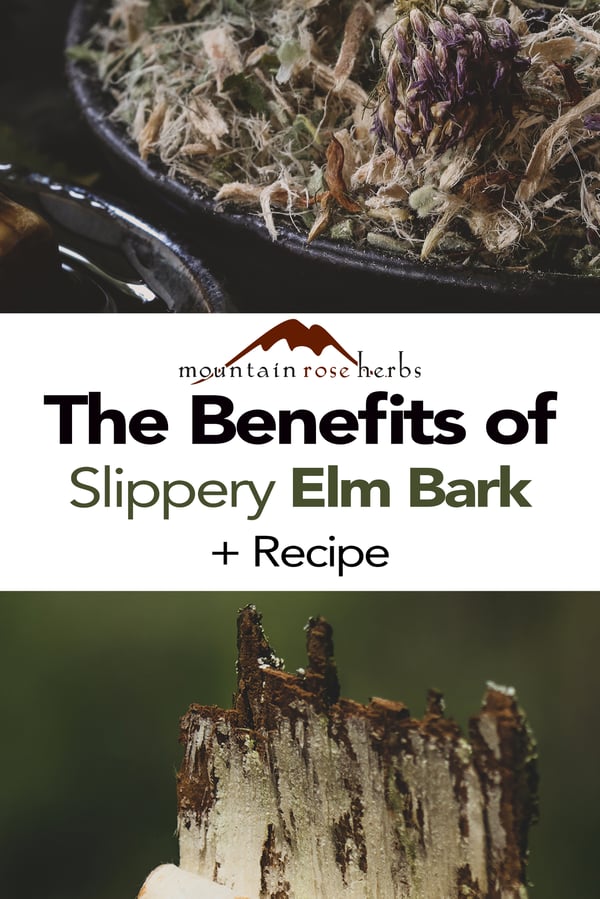 Slippery Elm Bark: Benefits, Uses and History Pinterest pin for Mountain Rose Herbs