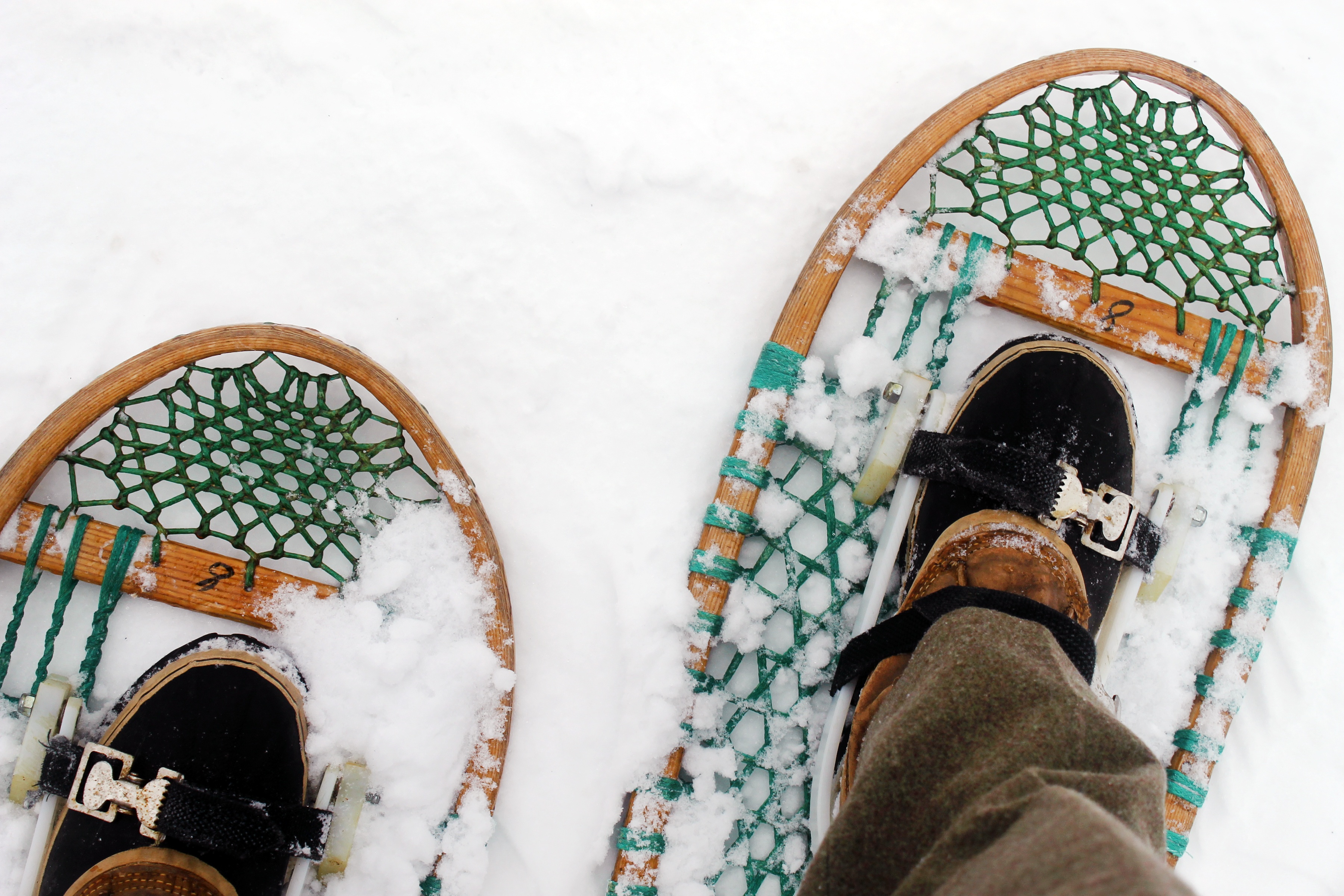 Green and brown snow shoes in snow