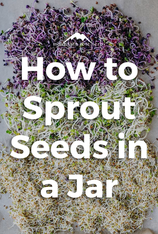 Sprouting Seeds: Easy DIY Pinterest Pin for Mountain Rose Herbs