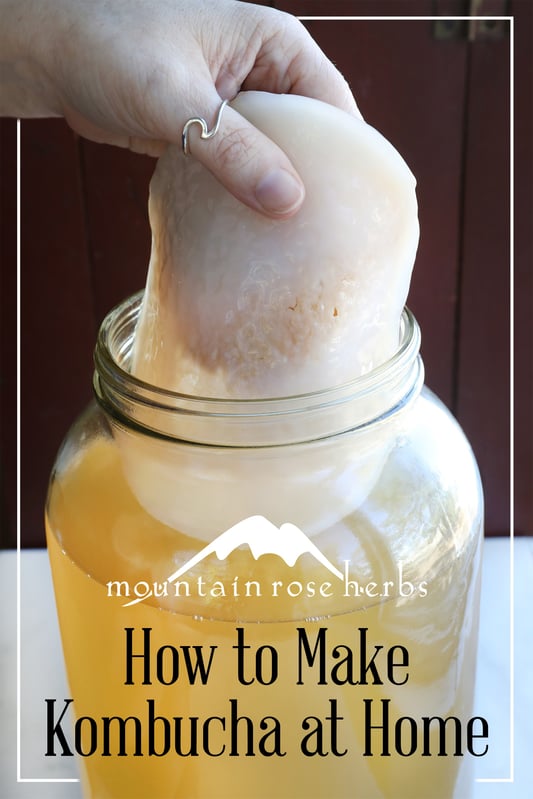 How to Make Kombuch Pin for Pinterest from Mountain Rose Herbs