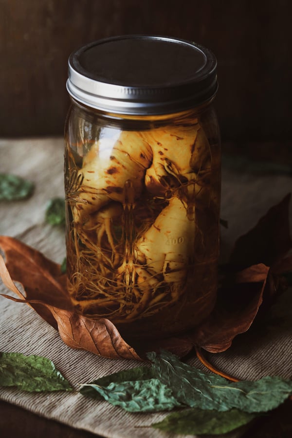 Jar with ginseng roots