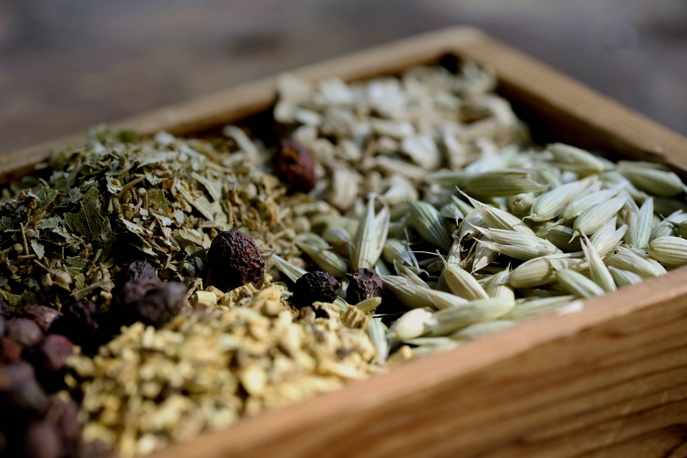 Traditional Chinese Medicine herbs in a box