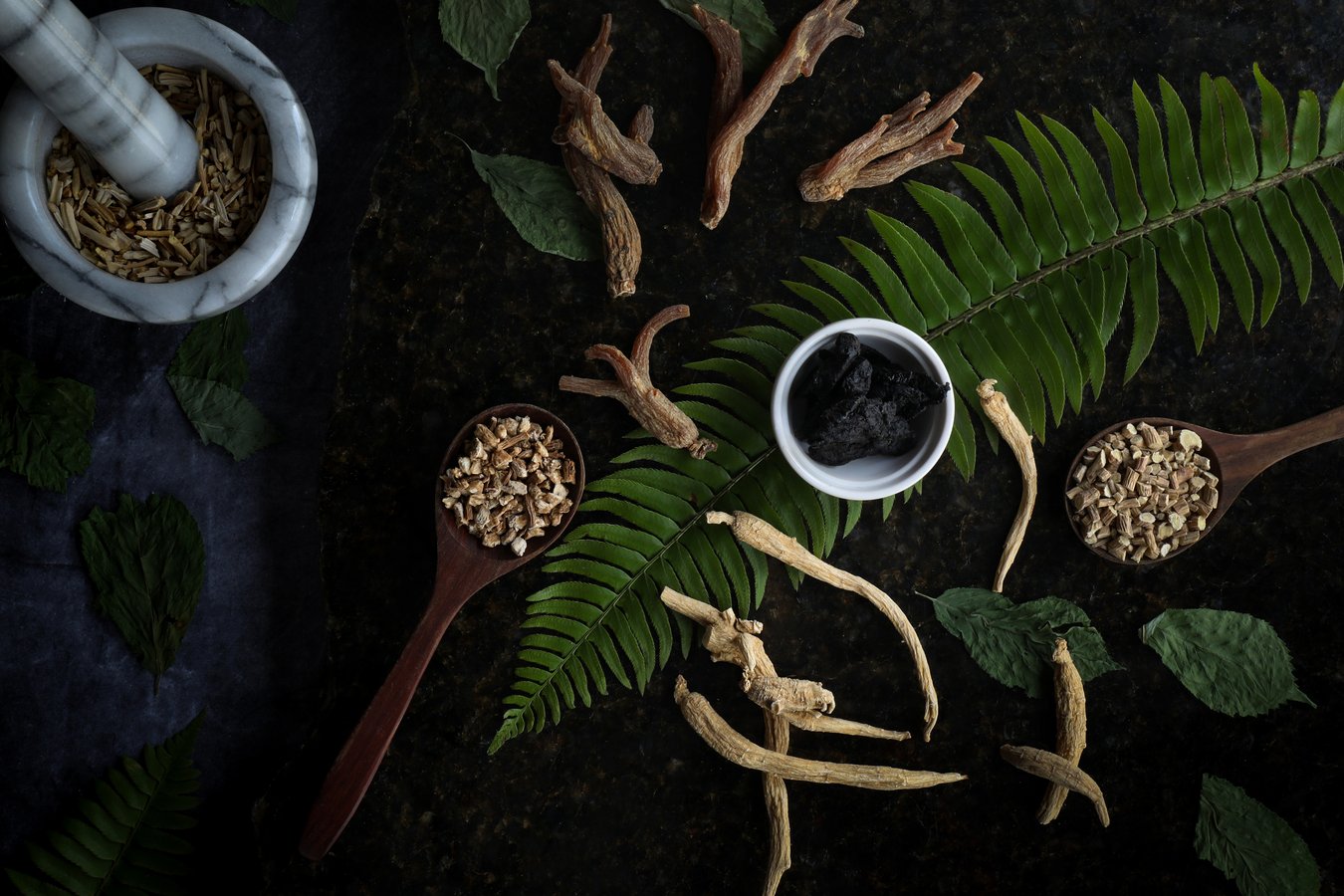 TCM herbs with ginseng, codonopsis, mortar and pestle 