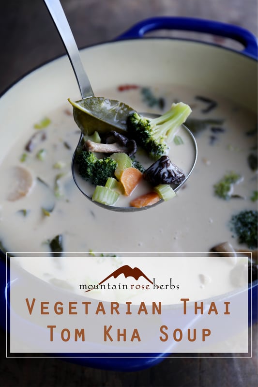 Pin to Vegetarian Thai Tom Kha Soup