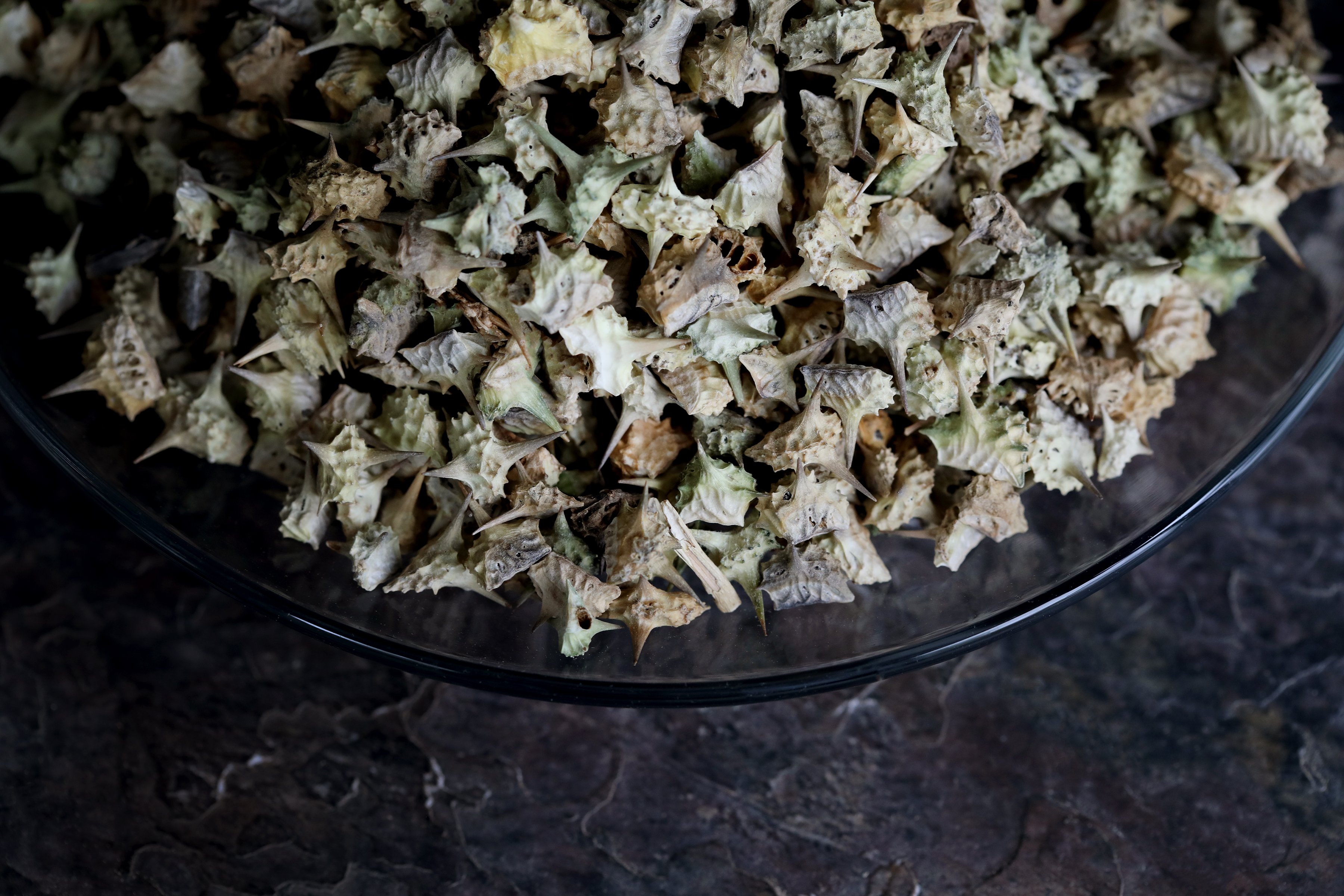 A clear bowl is filled to the brim with dried tribulus fruits. Thorny pieces of puncture vine fruit are piled in a clear glass bowl. 