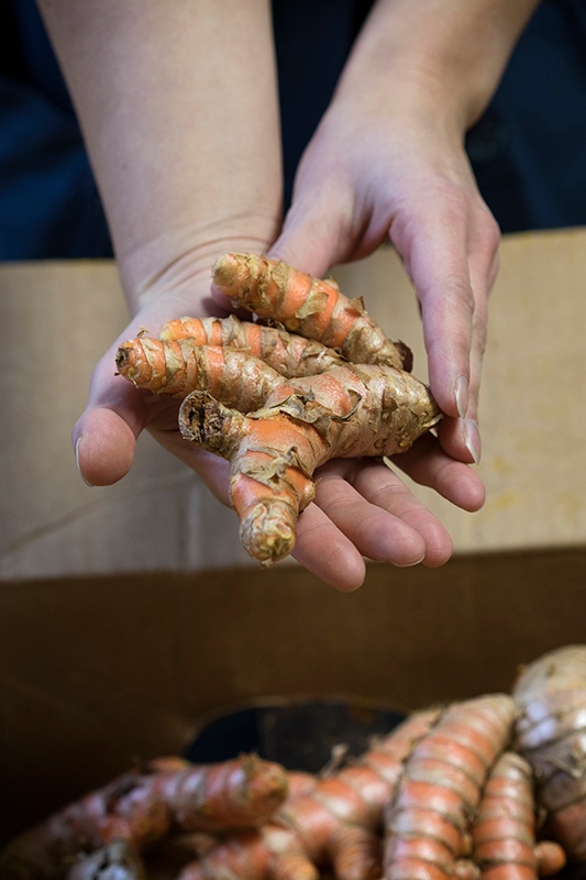 Handling fresh turmeric