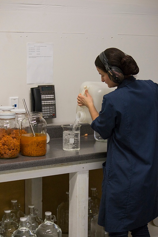 Pouring alcohol to make tinctures