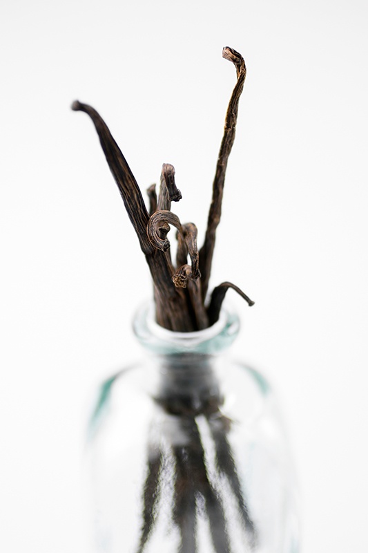 bundle of vanilla beans standing upright in glass vase