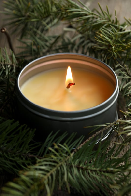 Candle in a tin burning with fir sprigs surrounding it