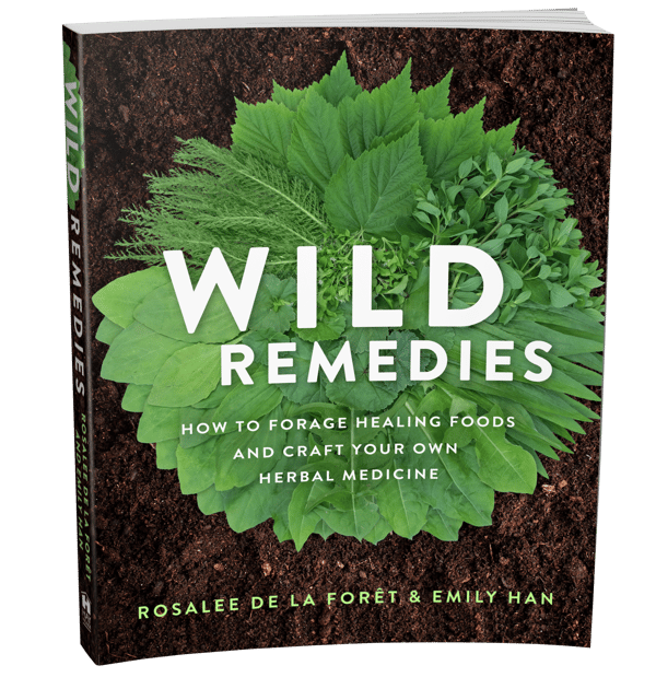 Wild Remedies book cover, by Rosalee de la Foret and Emily Hahn.