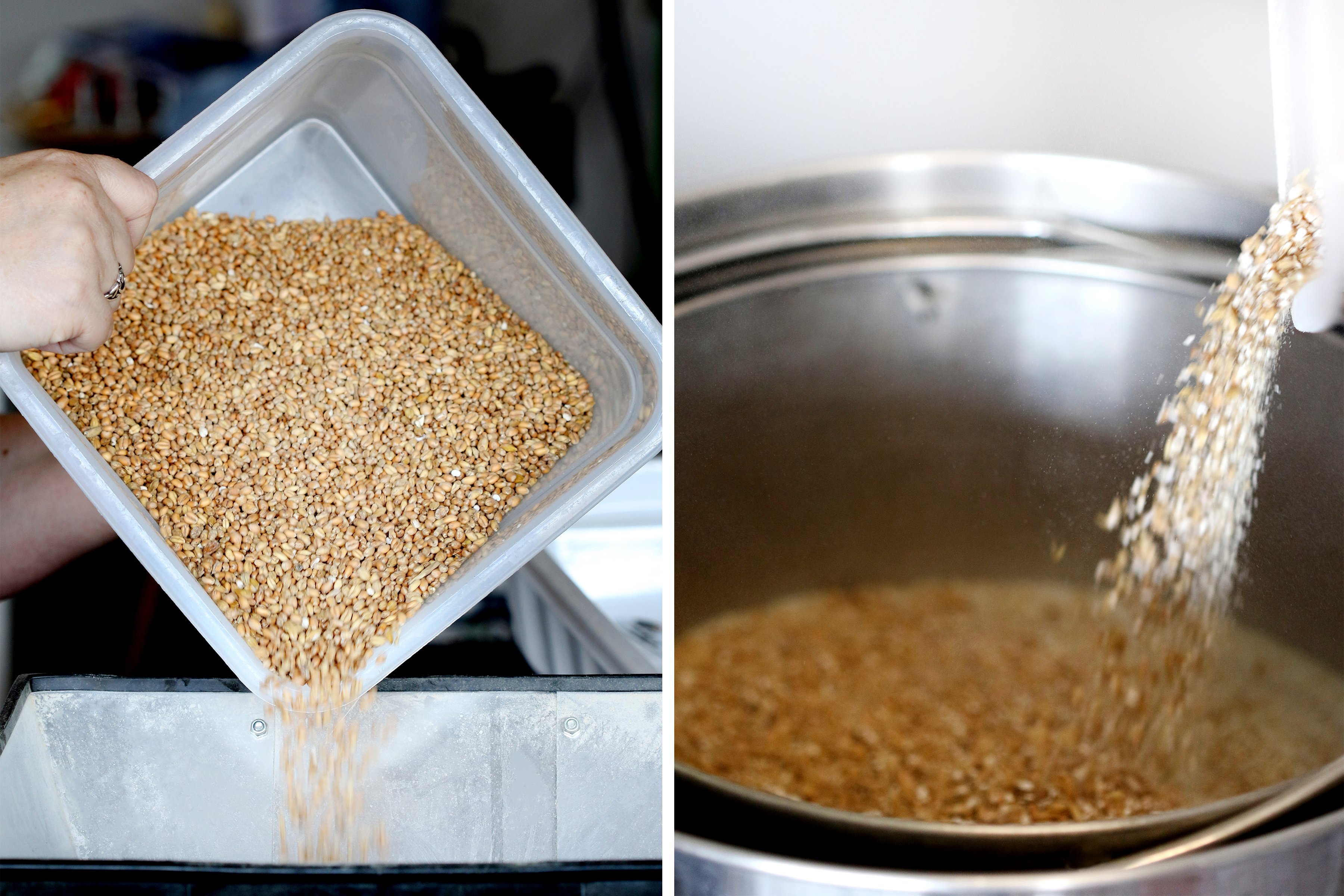 Milling grains for making an herbal witbier homebrew.