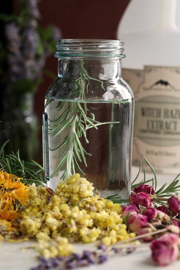 A jar of witch hazel being infused with rosemary, surrounded by calendula flowers, rosebuds, and other herbs.