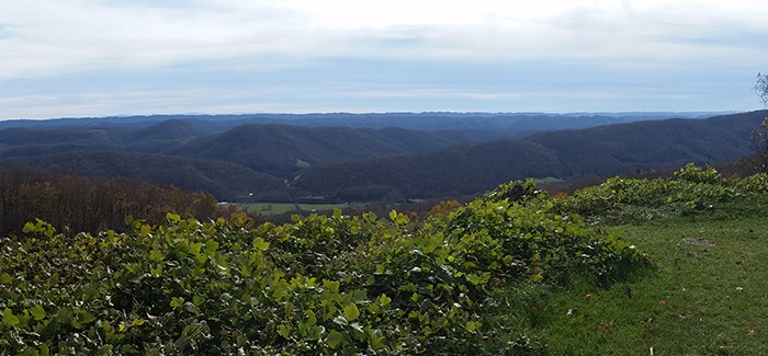 View of a southwest Appalachian landscape with rolling forested hills and valleys.