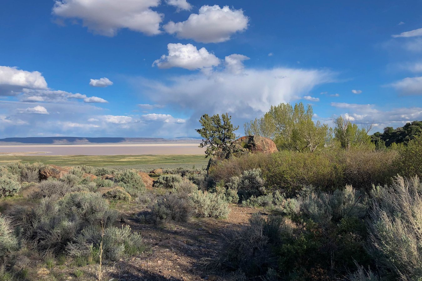 Alvord desert landscape