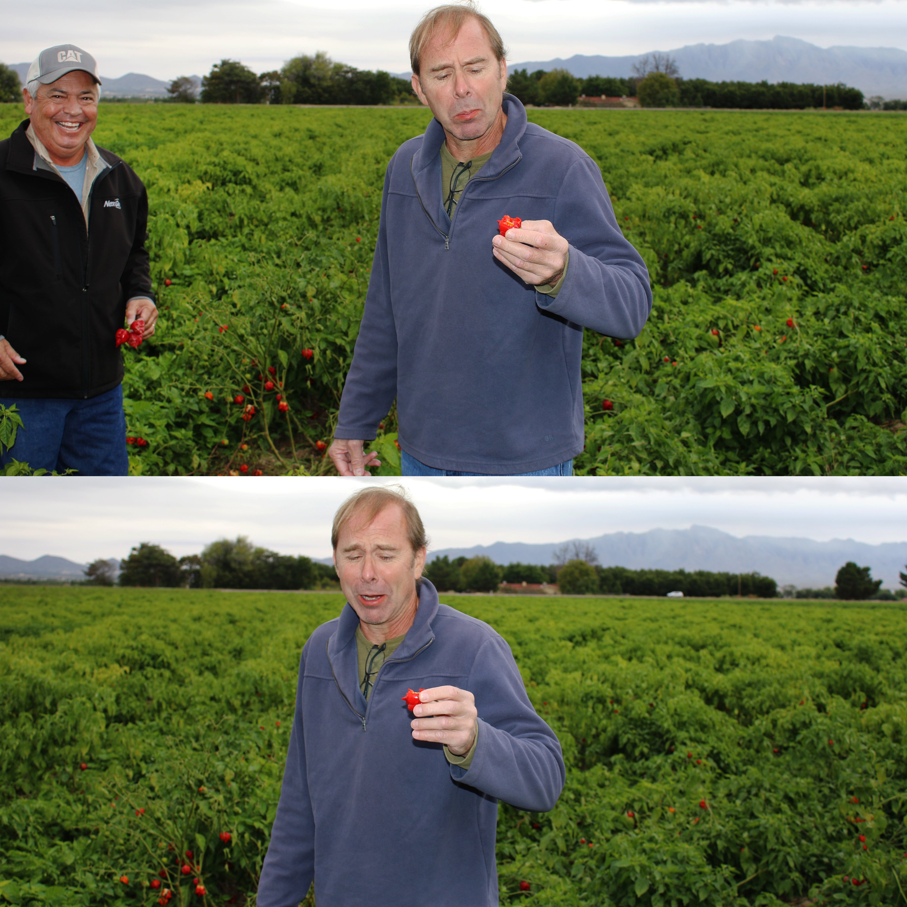 Before and after photo of a man biting into a hot pepper. 