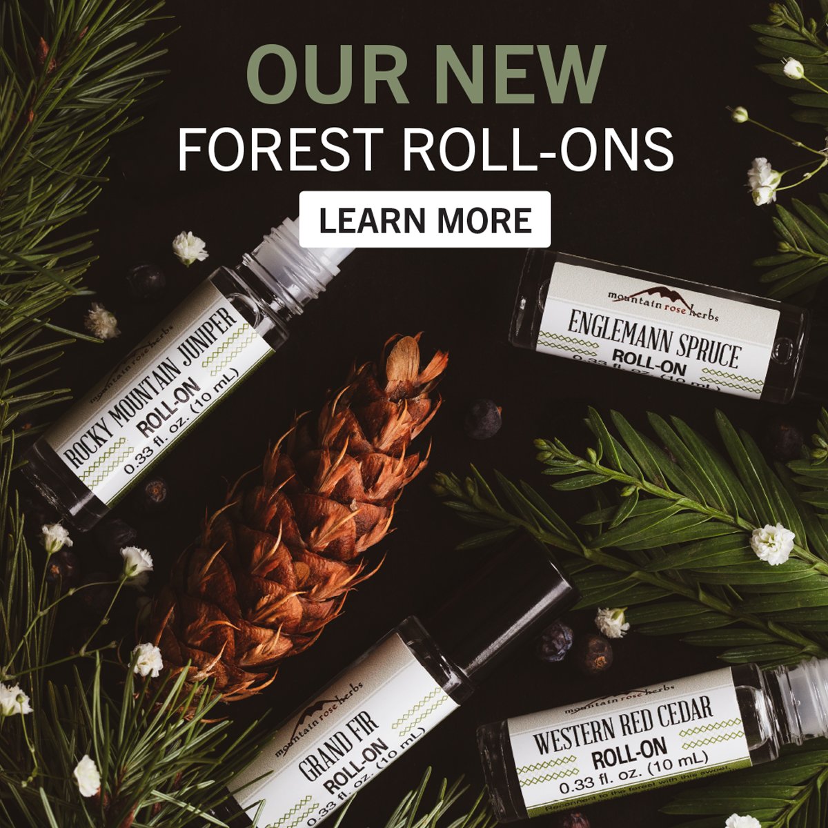 Shop Our new Forest Roll Ons
