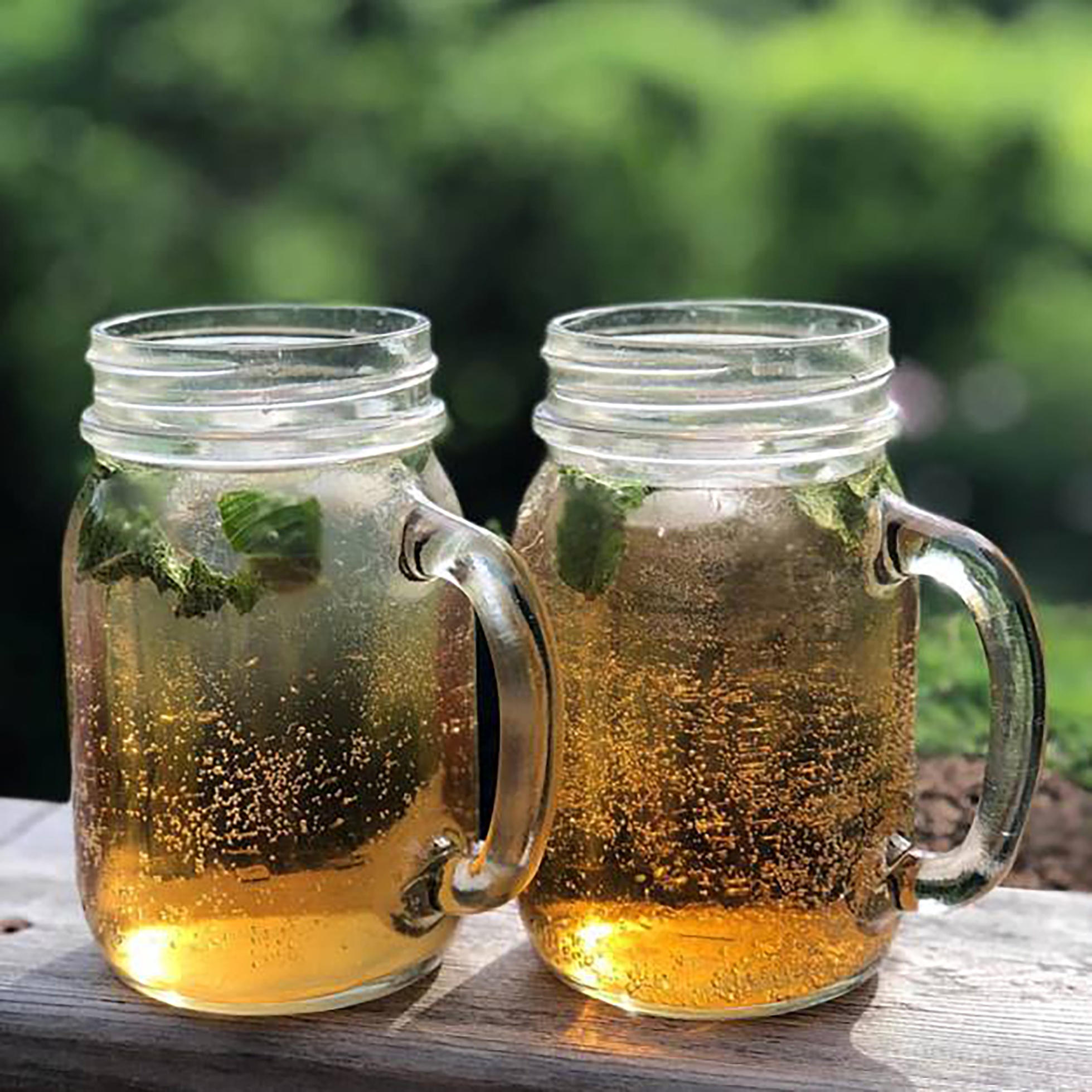 Two handles mason jars will with fizzy botanical beverages