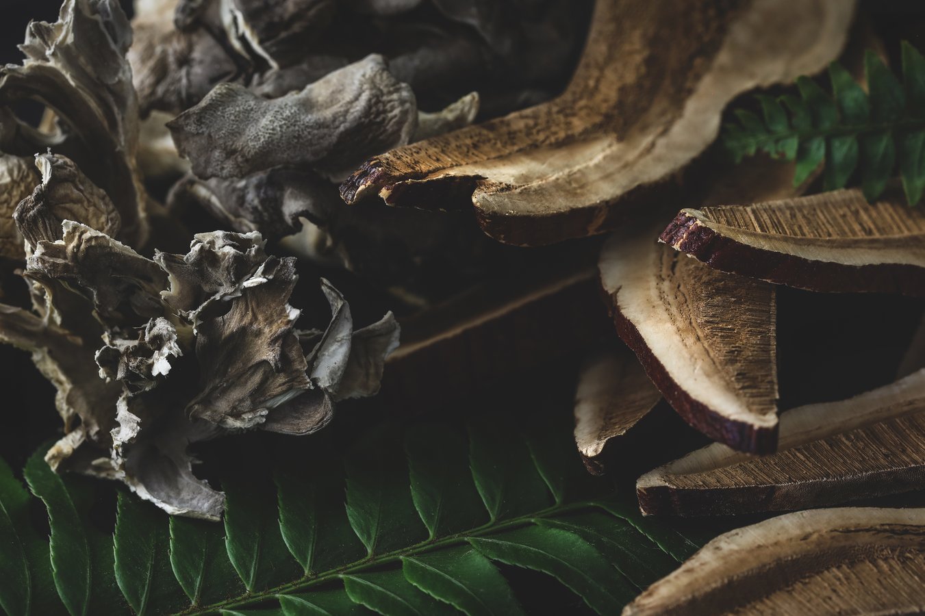 A variety of organic dried mushrooms