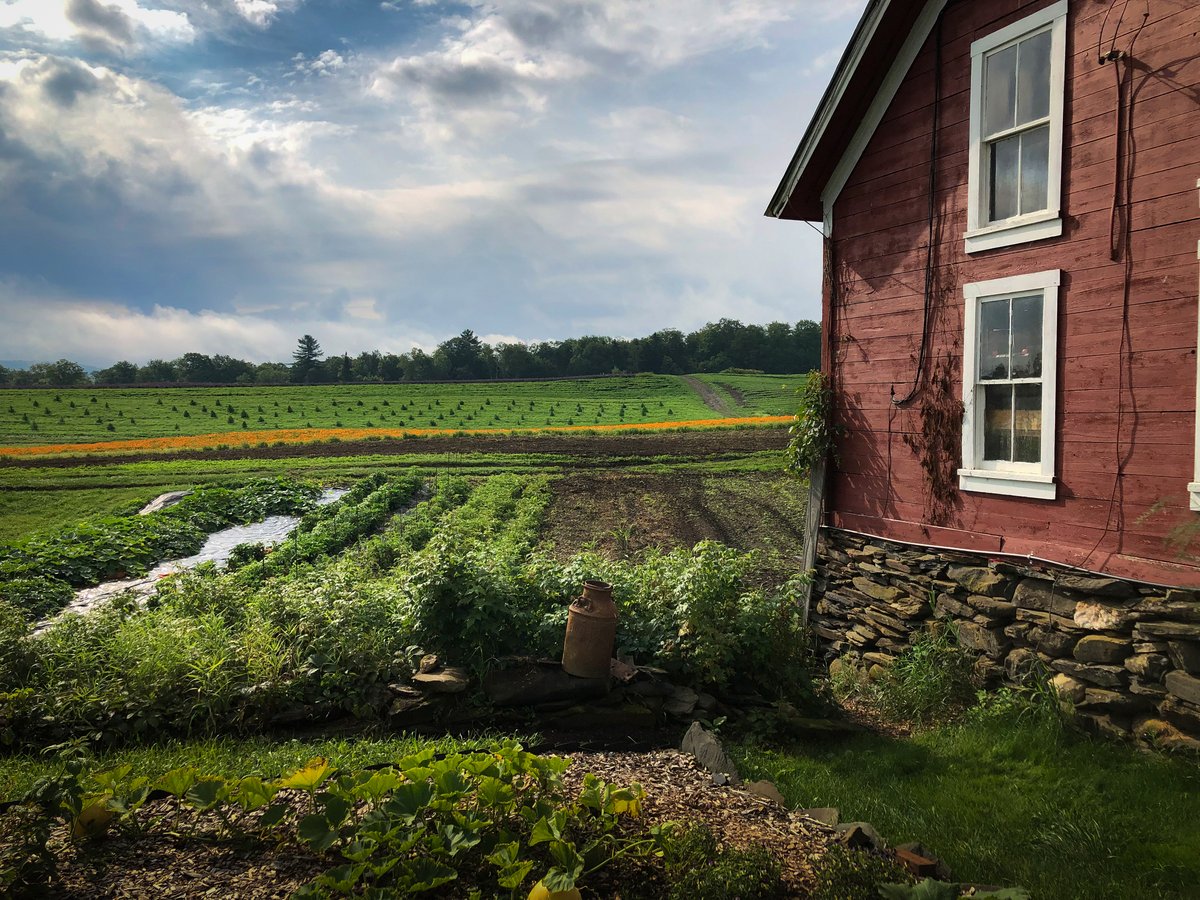 A view over the open fields of Foster Farm in Vermont.