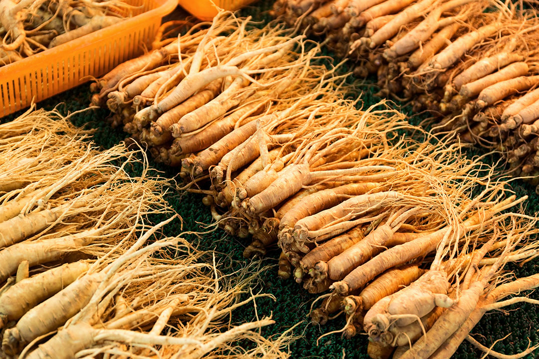 Breeze harvest rows, grown on the farm. 