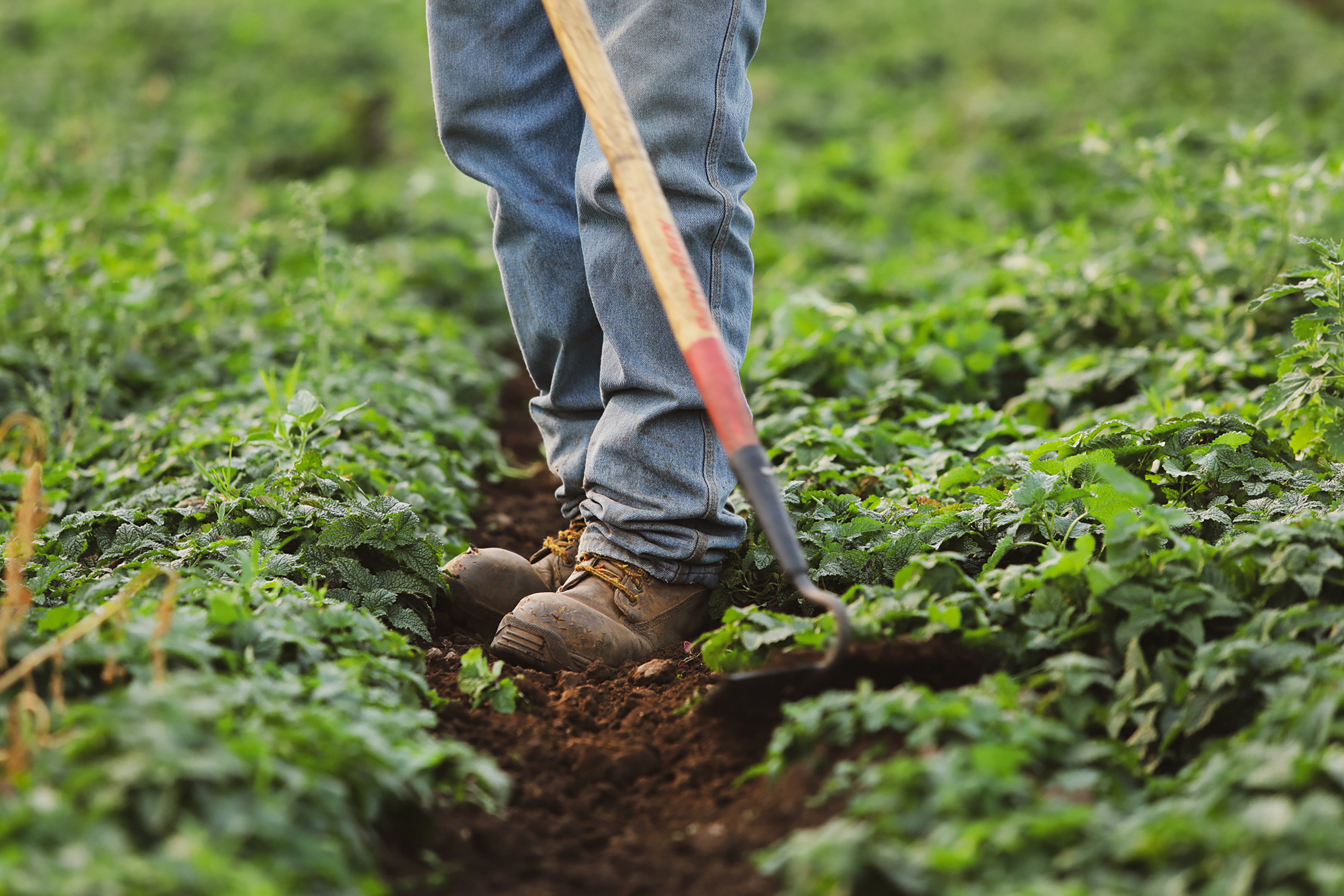 Cultivating change: Insights from the Small Farms Conference