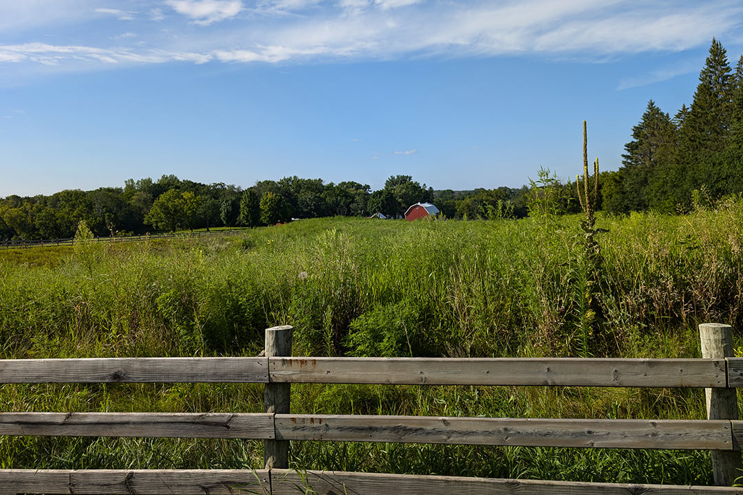 Midwest Farm Visit: How Farm Trips Support the Whole Supply Chain