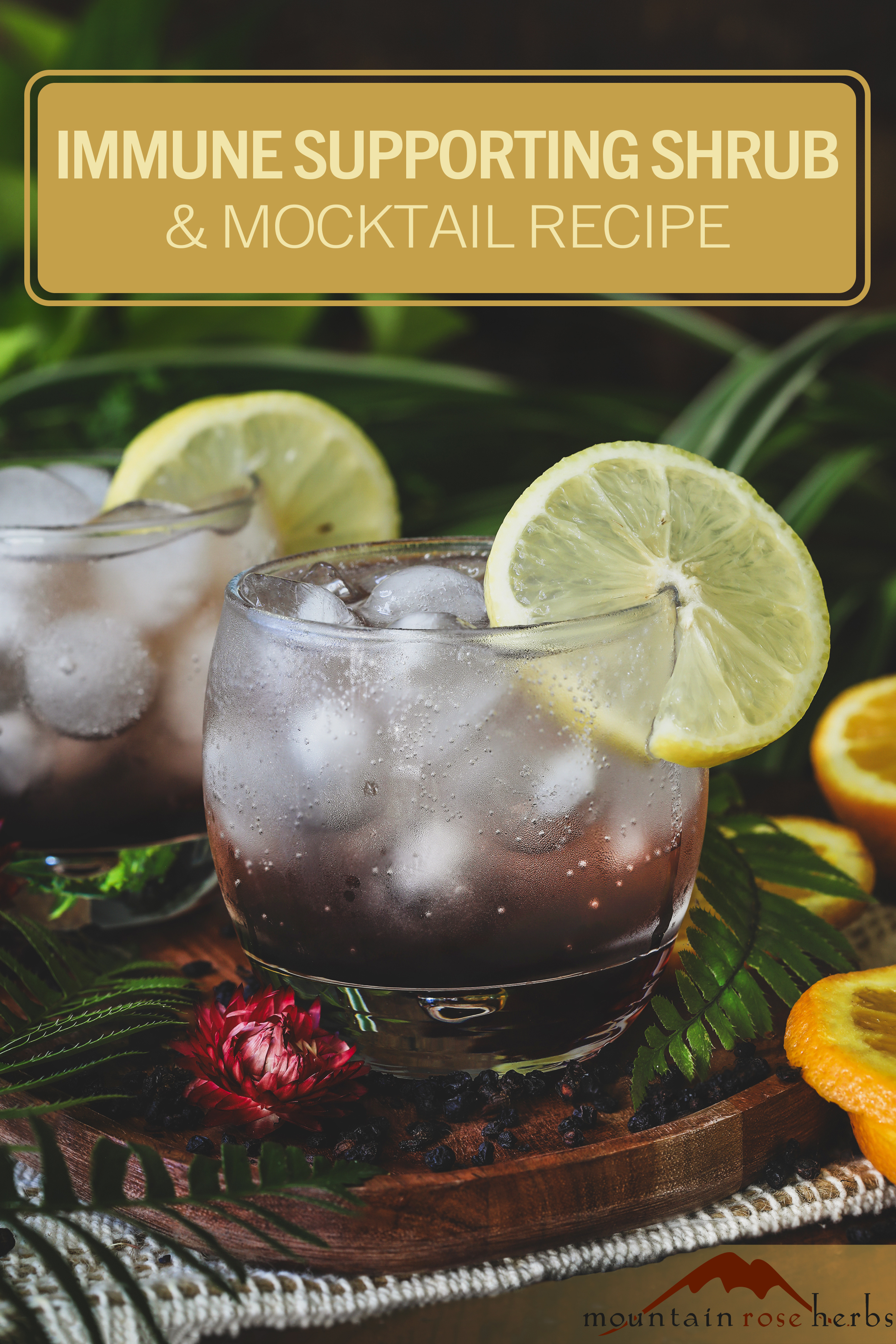 Elderberry Shrub + Mocktail Recipe for Immune Support