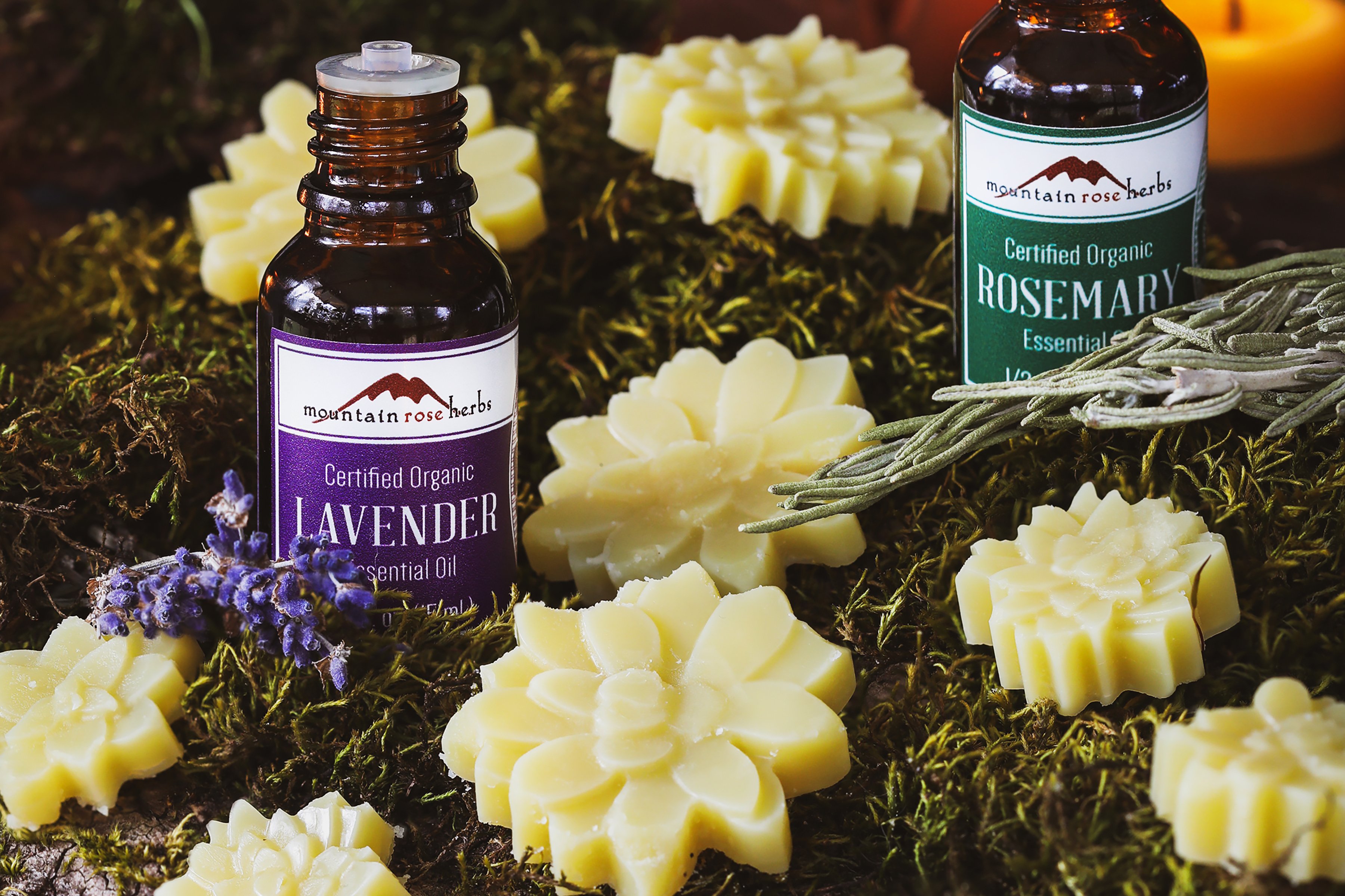 Homemade vegan aromatic wax melts in the shapes of flowers on a bed of rich green moss and surrounded by bottles of organic essential oils. 